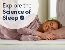Explore the science of sleep here