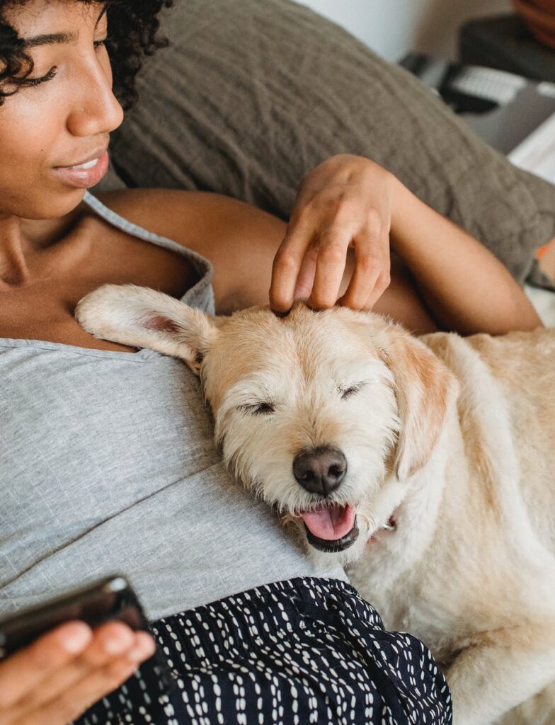 Happy dog resting next to a woman in bed