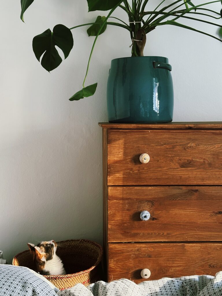 Cosy bedroom with a wooden dresser, large houseplant and a cat resting in a woven basket
