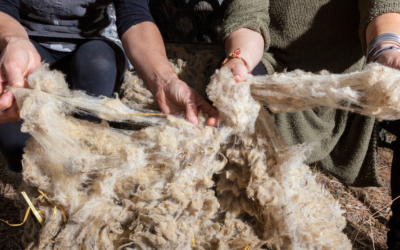 Natural Mattresses Explained: Materials, Benefits And What To Look For